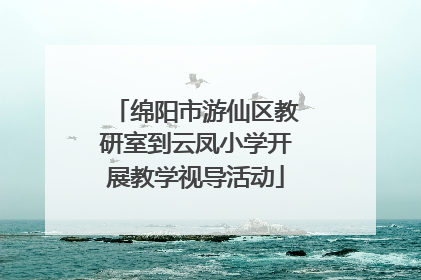 绵阳市游仙区教研室到云凤小学开展教学视导活动