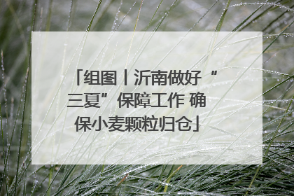 组图丨沂南做好“三夏”保障工作 确保小麦颗粒归仓