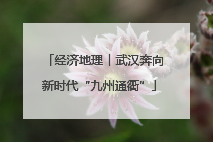 经济地理丨武汉奔向新时代“九州通衢”