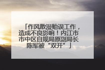 作风散漫贻误工作，造成不良影响！内江市市中区自规局原副局长陈军被“双开”