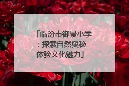临汾市御景小学：探索自然奥秘 体验文化魅力