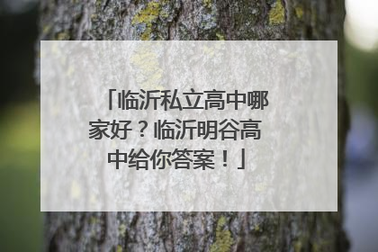 临沂私立高中哪家好？临沂明谷高中给你答案！