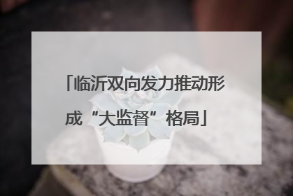 临沂双向发力推动形成“大监督”格局