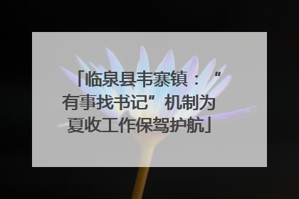 临泉县韦寨镇：“有事找书记”机制为夏收工作保驾护航
