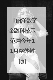 丽泽数字金融科技示范园今年11月整体封顶