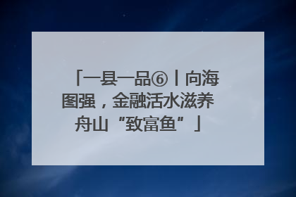 一县一品⑥丨向海图强，金融活水滋养舟山“致富鱼”
