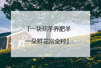一块蕉芋养肥羊 一朵鲜花富全村