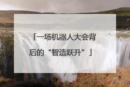 一场机器人大会背后的“智造跃升”