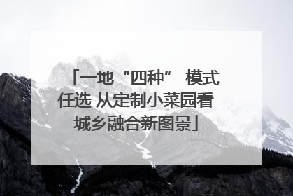 一地“四种” 模式任选 从定制小菜园看城乡融合新图景