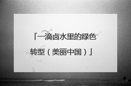 一滴卤水里的绿色转型（美丽中国）