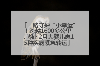 一路守护“小幸运”！跨越1600多公里，湖南2月大婴儿患15种疾病紧急转运