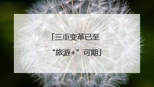 三重变革已至 “旅游+”可期