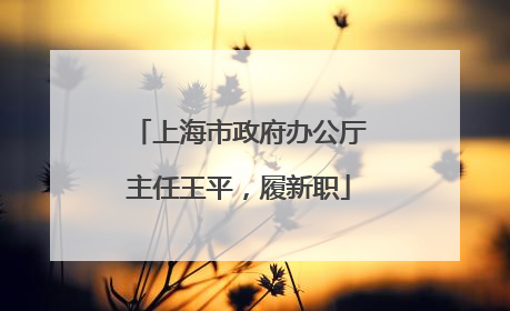 上海市政府办公厅主任王平，履新职