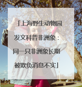 上海野生动物园发文科普非洲象：同一只非洲象长期被欺负消息不实