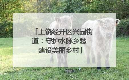 上饶经开区兴园街道：守护水脉乡愁 建设美丽乡村