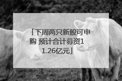 下周两只新股可申购 预计合计募资11.26亿元