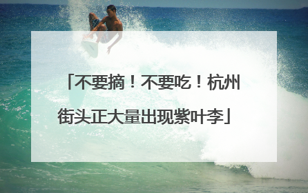 不要摘！不要吃！杭州街头正大量出现紫叶李