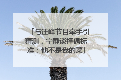 与汪峰节目牵手引猜测，宁静谈择偶标准：他不是我的菜