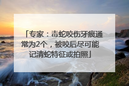 专家：毒蛇咬伤牙痕通常为2个，被咬后尽可能记清蛇特征或拍照