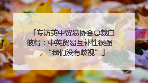 专访英中贸易协会总裁白彼得：中英贸易互补性很强，“我们没有歧视”