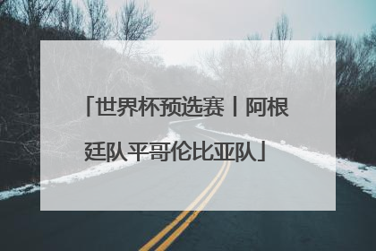 世界杯预选赛丨阿根廷队平哥伦比亚队