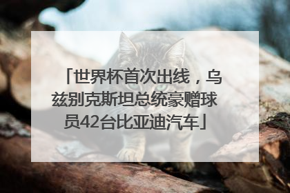 世界杯首次出线，乌兹别克斯坦总统豪赠球员42台比亚迪汽车