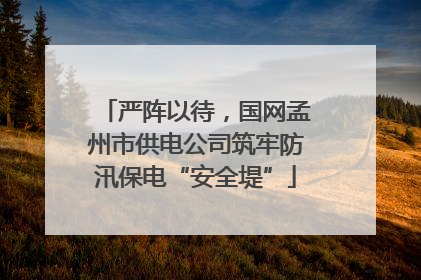 严阵以待，国网孟州市供电公司筑牢防汛保电“安全堤”