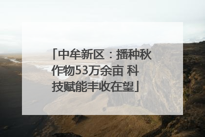 中牟新区：播种秋作物53万余亩 科技赋能丰收在望