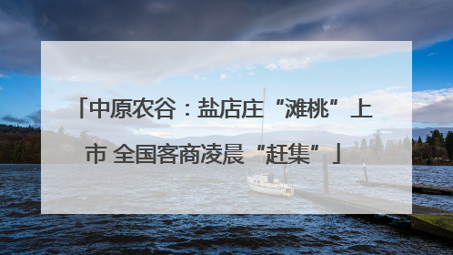 中原农谷：盐店庄“滩桃”上市 全国客商凌晨“赶集”