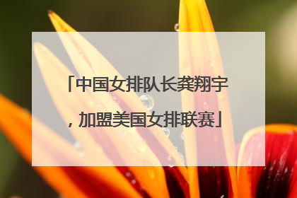 中国女排队长龚翔宇，加盟美国女排联赛