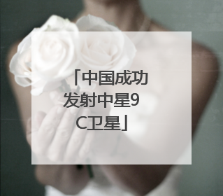 中国成功发射中星9C卫星