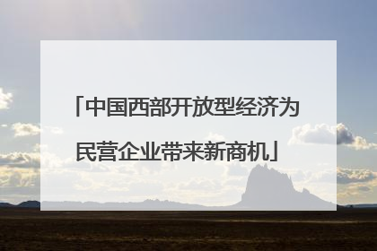 中国西部开放型经济为民营企业带来新商机