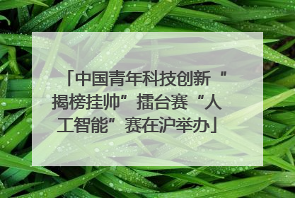 中国青年科技创新“揭榜挂帅”擂台赛“人工智能”赛在沪举办
