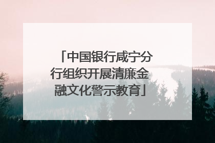 中国银行咸宁分行组织开展清廉金融文化警示教育