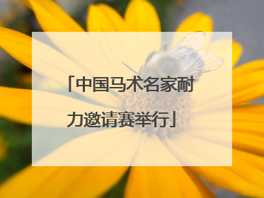 中国马术名家耐力邀请赛举行