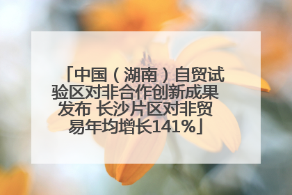 中国（湖南）自贸试验区对非合作创新成果发布 长沙片区对非贸易年均增长141%