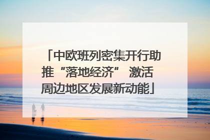 中欧班列密集开行助推“落地经济” 激活周边地区发展新动能