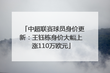 中超联赛球员身价更新：王钰栋身价大幅上涨110万欧元