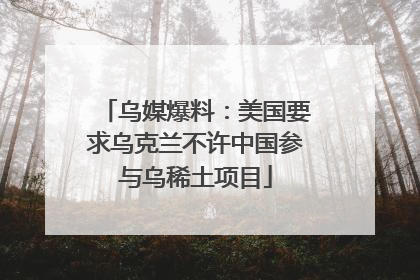 乌媒爆料:美国要求乌克兰不许中国参与乌稀土项目