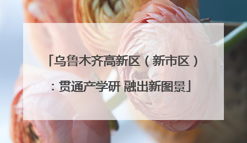 乌鲁木齐高新区（新市区）：贯通产学研 融出新图景