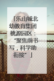 乐山城北幼教育集团桃源园区：“聚焦前书写，科学助衔接”
