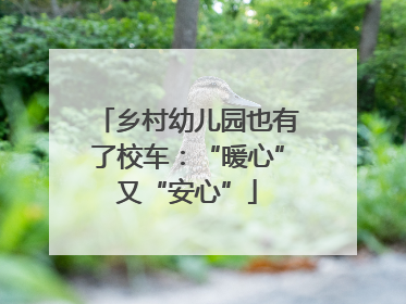 乡村幼儿园也有了校车：“暖心”又“安心”