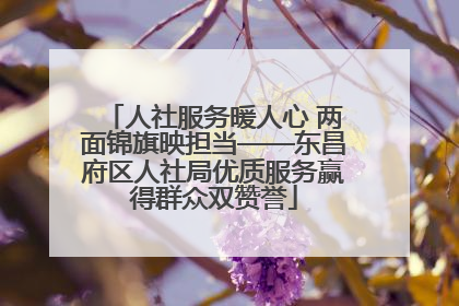 人社服务暖人心 两面锦旗映担当——东昌府区人社局优质服务赢得群众双赞誉