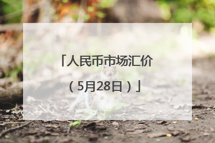 人民币市场汇价（5月28日）