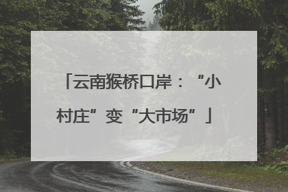 云南猴桥口岸：“小村庄”变“大市场”