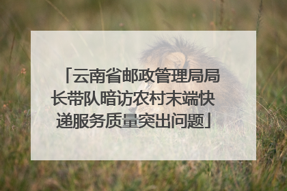 云南省邮政管理局局长带队暗访农村末端快递服务质量突出问题