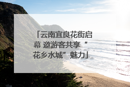 云南宜良花街启幕 邀游客共享“花乡水城”魅力