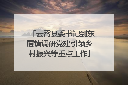 云霄县委书记到东厦镇调研党建引领乡村振兴等重点工作