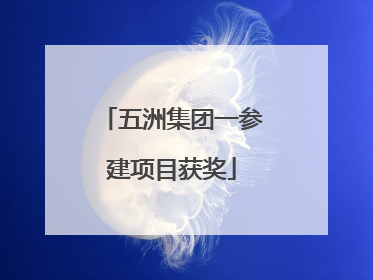 五洲集团一参建项目获奖