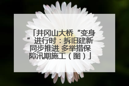 井冈山大桥“变身”进行时：拆旧建新同步推进 多举措保障汛期施工（图）